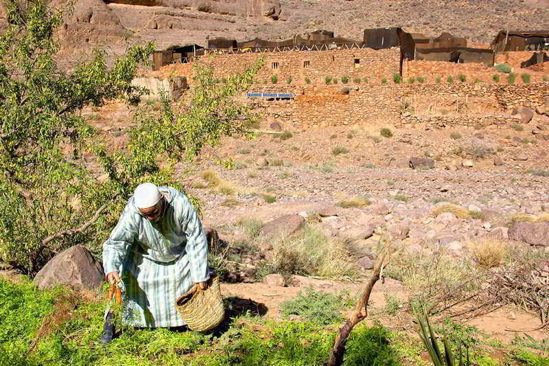 Ecolodge Ouednoujoum Ouarzazate Exterior foto